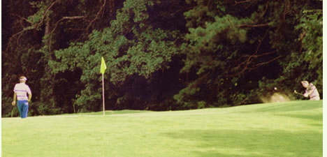 Golf courses all over North Carolina